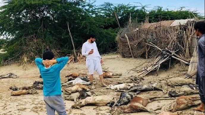 Flood in Sistan & Baluchistan