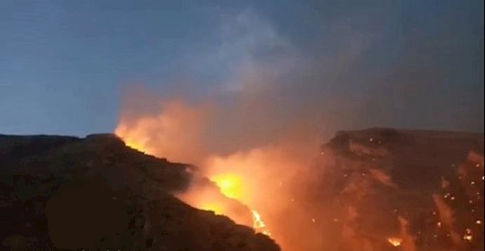 Khaeez forest in fire